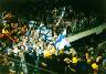 Finnlands Fans IV